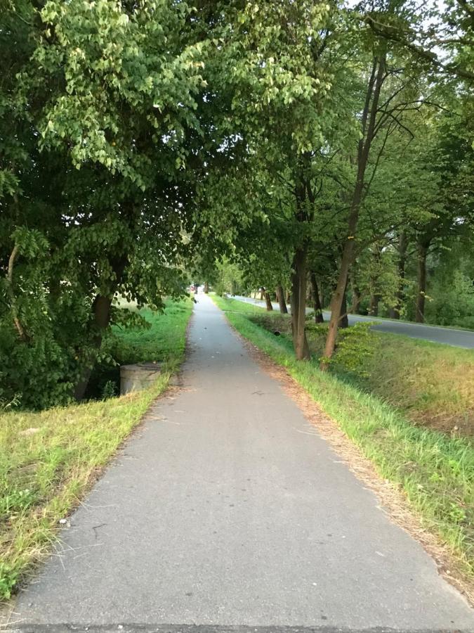 Gawramaszki - Agroturystyka - Komfortowe Pokoje Z Lazienkami I Aneksami Kuchennymi Węgorzewo Esterno foto